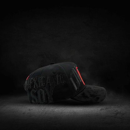 CANELO X MEXICANO SOY.